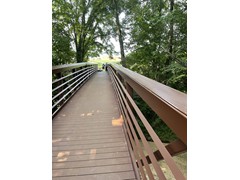 IMG_0248